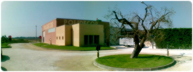 vista panoramica dell'azienda